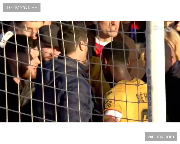 水晶宫新球场即将落成，球迷热盼升级观赛体验与氛围